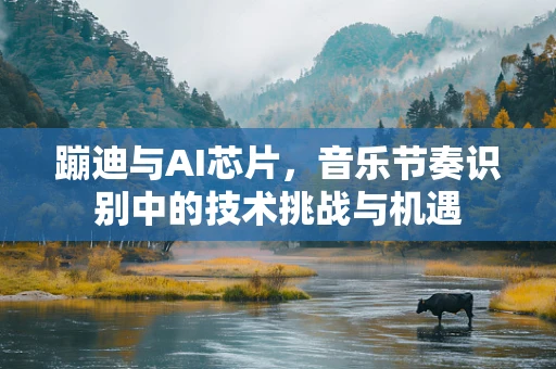 蹦迪与AI芯片，音乐节奏识别中的技术挑战与机遇