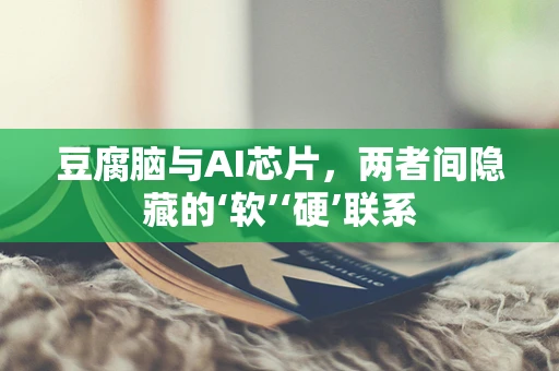豆腐脑与AI芯片，两者间隐藏的‘软’‘硬’联系