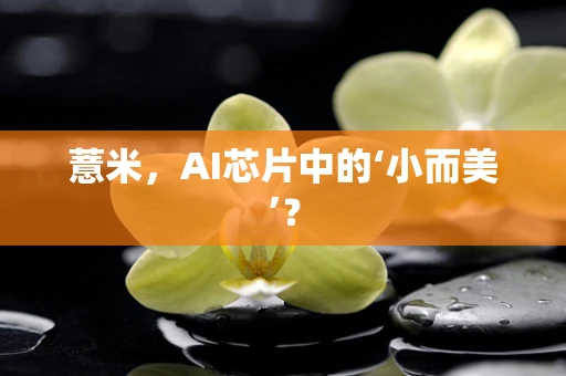 薏米，AI芯片中的‘小而美’？