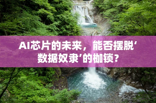 AI芯片的未来，能否摆脱‘数据奴隶’的枷锁？