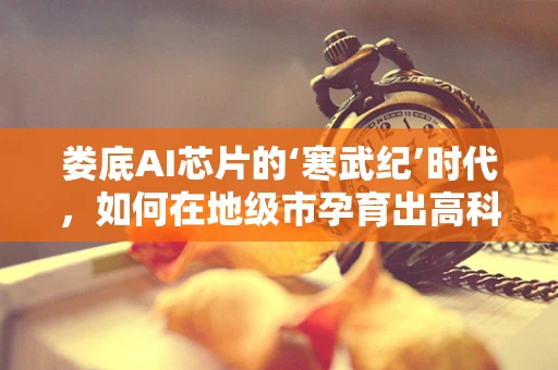 娄底AI芯片的‘寒武纪’时代，如何在地级市孕育出高科技的未来？