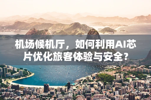 机场候机厅，如何利用AI芯片优化旅客体验与安全？