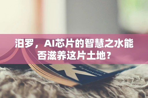 汨罗，AI芯片的智慧之水能否滋养这片土地？