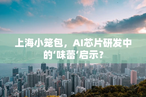 上海小笼包，AI芯片研发中的‘味蕾’启示？