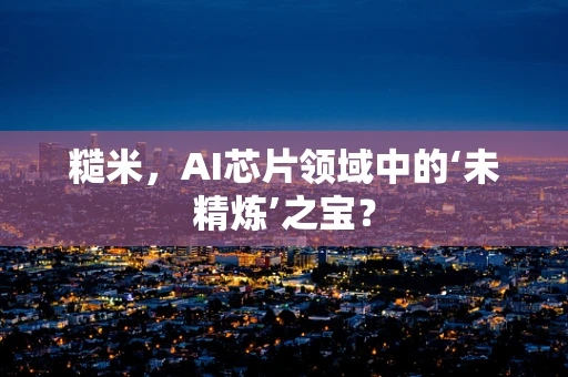 糙米，AI芯片领域中的‘未精炼’之宝？