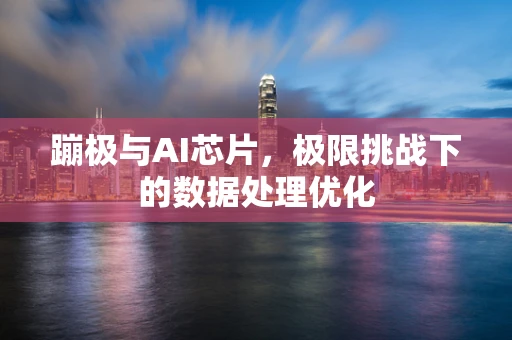 蹦极与AI芯片，极限挑战下的数据处理优化