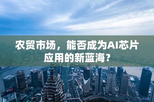 农贸市场，能否成为AI芯片应用的新蓝海？