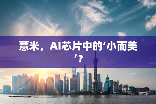薏米，AI芯片中的‘小而美’？