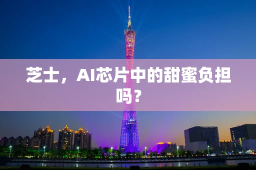 芝士，AI芯片中的甜蜜负担吗？