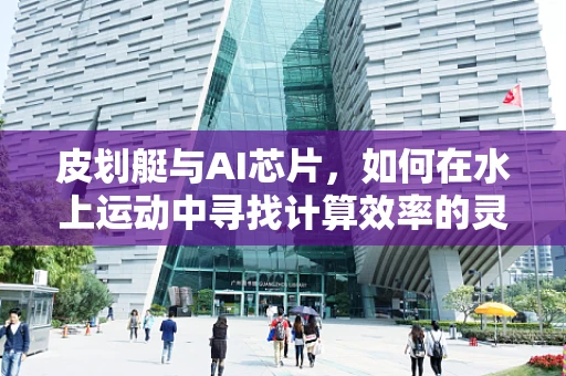 皮划艇与AI芯片，如何在水上运动中寻找计算效率的灵感？