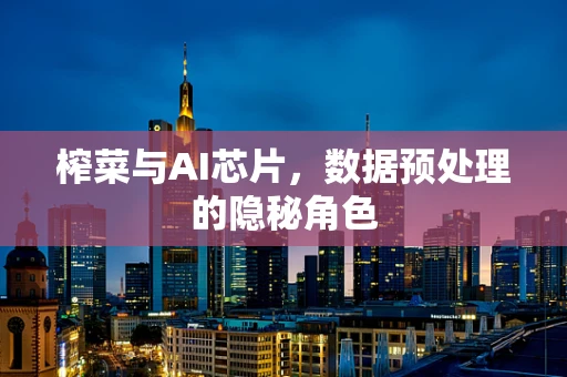 榨菜与AI芯片，数据预处理的隐秘角色