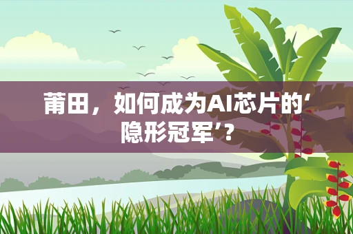 莆田，如何成为AI芯片的‘隐形冠军’？