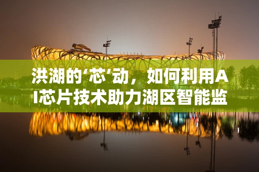 洪湖的‘芯’动，如何利用AI芯片技术助力湖区智能监控与环境保护？