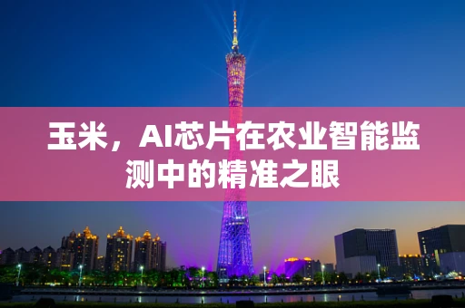 玉米，AI芯片在农业智能监测中的精准之眼