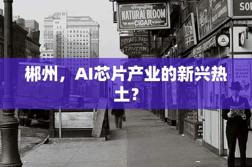 郴州，AI芯片产业的新兴热土？