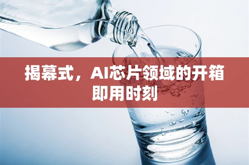 揭幕式，AI芯片领域的开箱即用时刻