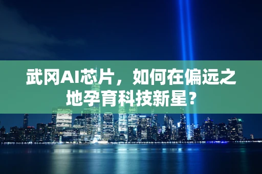 武冈AI芯片，如何在偏远之地孕育科技新星？