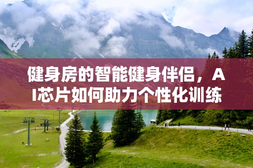 健身房的智能健身伴侣，AI芯片如何助力个性化训练？