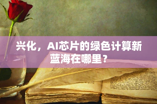 兴化，AI芯片的绿色计算新蓝海在哪里？