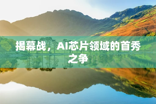 揭幕战，AI芯片领域的首秀之争