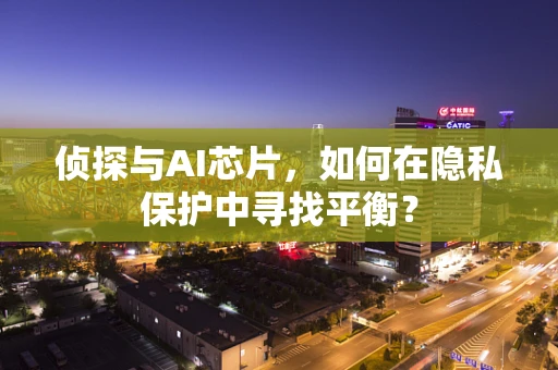 侦探与AI芯片，如何在隐私保护中寻找平衡？