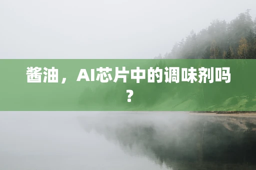 酱油，AI芯片中的调味剂吗？