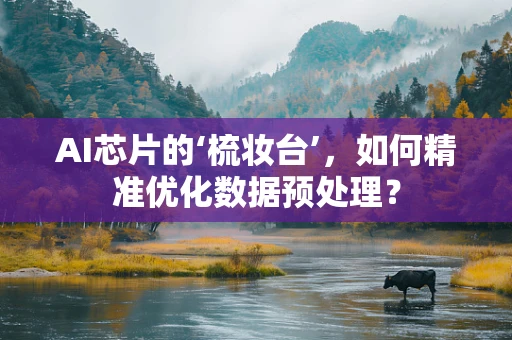 AI芯片的‘梳妆台’，如何精准优化数据预处理？