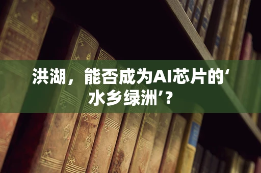 洪湖，能否成为AI芯片的‘水乡绿洲’？