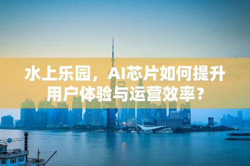 水上乐园，AI芯片如何提升用户体验与运营效率？