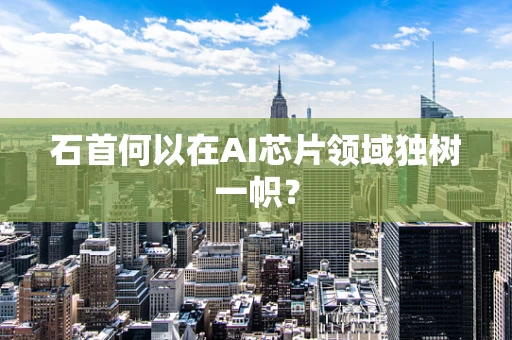 石首何以在AI芯片领域独树一帜？