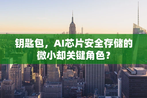 钥匙包，AI芯片安全存储的微小却关键角色？