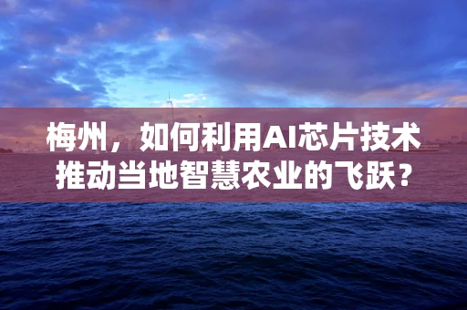 梅州，如何利用AI芯片技术推动当地智慧农业的飞跃？