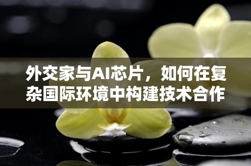 外交家与AI芯片，如何在复杂国际环境中构建技术合作的桥梁？
