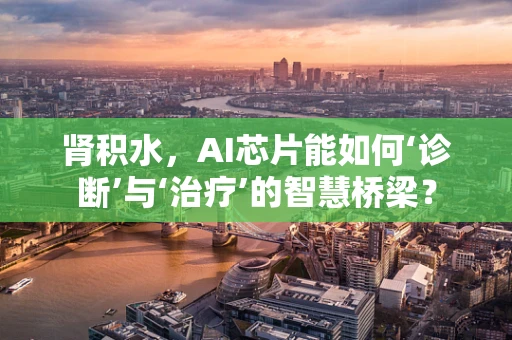 肾积水，AI芯片能如何‘诊断’与‘治疗’的智慧桥梁？