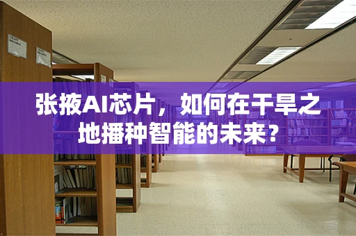 张掖AI芯片，如何在干旱之地播种智能的未来？