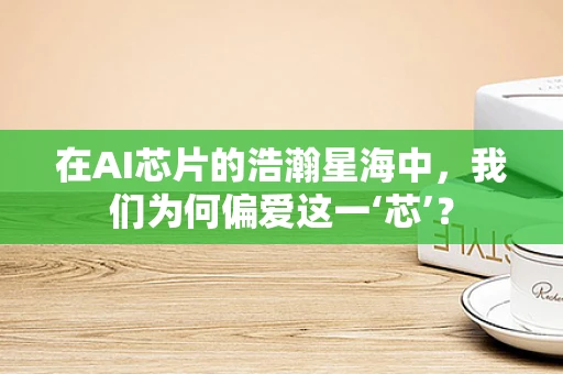在AI芯片的浩瀚星海中，我们为何偏爱这一‘芯’？
