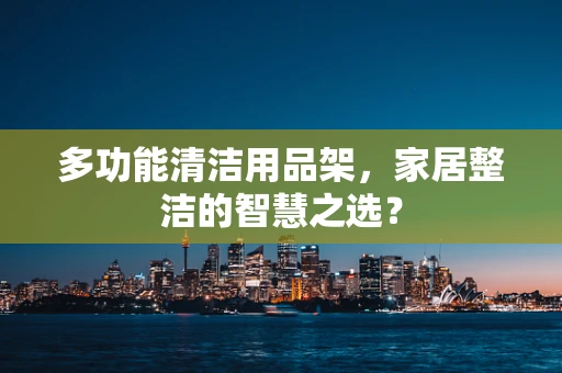 多功能清洁用品架，家居整洁的智慧之选？