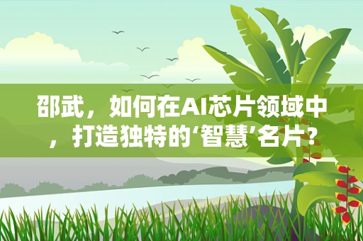 邵武，如何在AI芯片领域中，打造独特的‘智慧’名片？