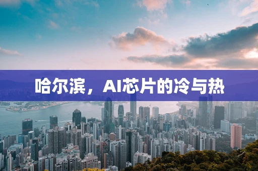 哈尔滨，AI芯片的冷与热