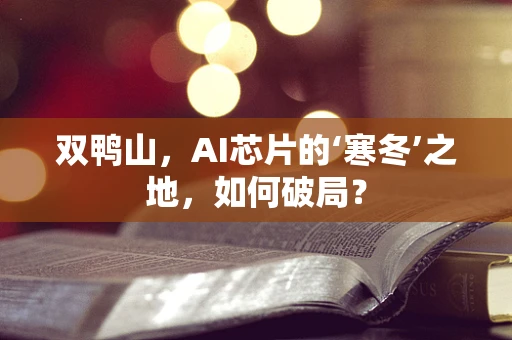 双鸭山，AI芯片的‘寒冬’之地，如何破局？