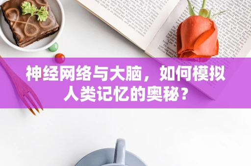 神经网络与大脑，如何模拟人类记忆的奥秘？