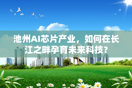 池州AI芯片产业，如何在长江之畔孕育未来科技？