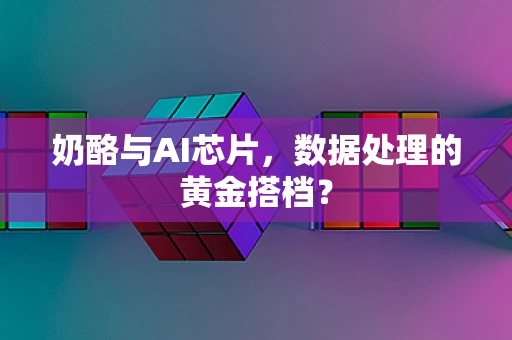 奶酪与AI芯片，数据处理的黄金搭档？