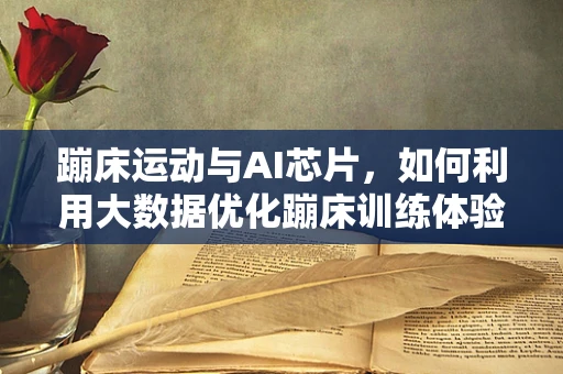 蹦床运动与AI芯片，如何利用大数据优化蹦床训练体验？