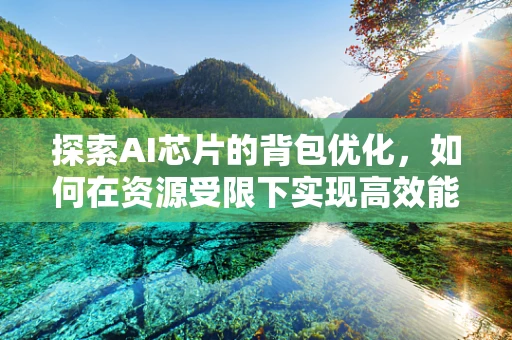 探索AI芯片的背包优化，如何在资源受限下实现高效能？