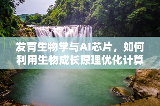 发育生物学与AI芯片，如何利用生物成长原理优化计算能力？