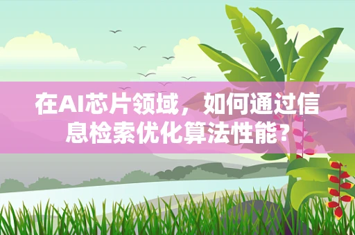 在AI芯片领域，如何通过信息检索优化算法性能？