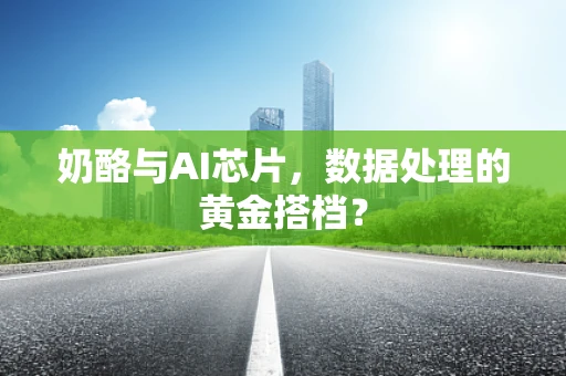 奶酪与AI芯片，数据处理的黄金搭档？