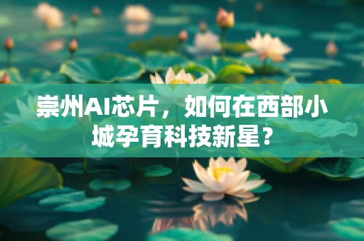 崇州AI芯片，如何在西部小城孕育科技新星？
