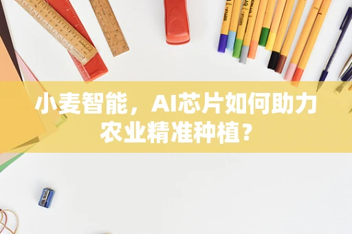 小麦智能，AI芯片如何助力农业精准种植？